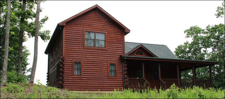 Professional Log Home Borate Application  Medina County, Ohio